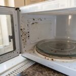 Black Mold In Microwave