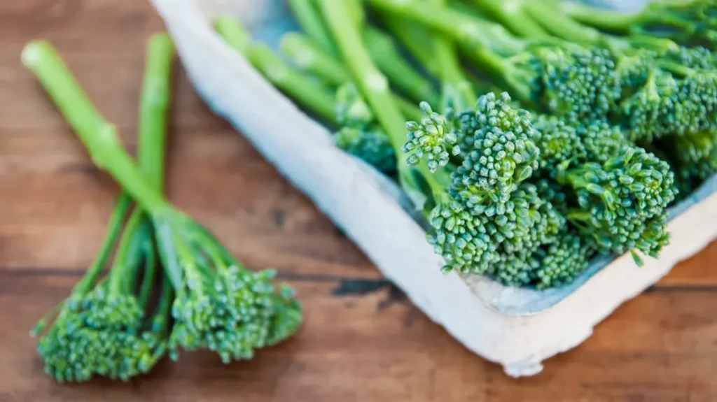 Nutritional Profile of Crocolini